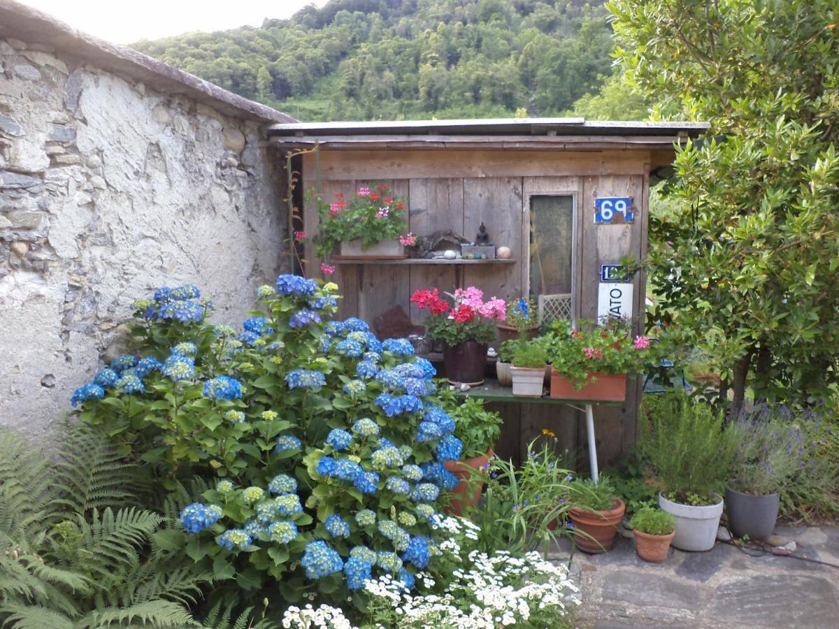 B&B Casa Codega Intragna Exterior foto
